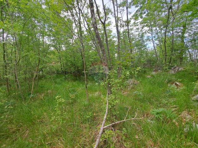 Land For sale - Primorsko-goranska Matulji - foto 4/6