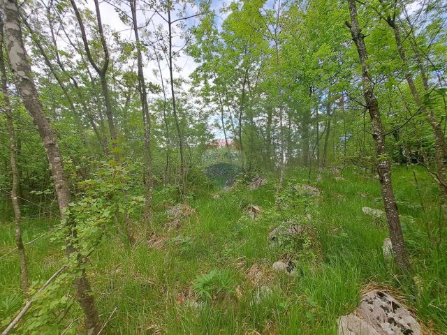 Land For sale - Primorsko-goranska Matulji - foto 5/6