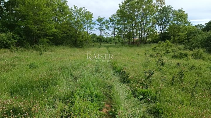 Zemljište na prodaju 970 m² – Barban
