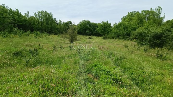 Pozemek Na prodej - Istarska Barban - foto 2/4