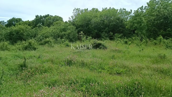 Pozemek Na prodej - Istarska Barban - foto 3/4