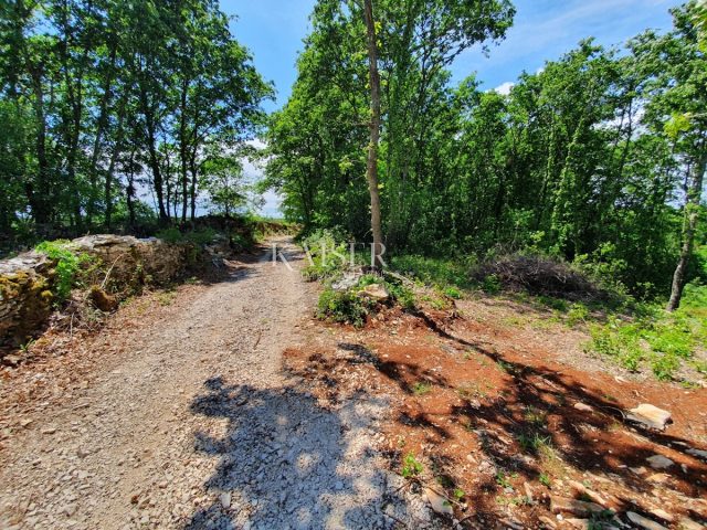 Działka na sprzedaż 1006 m² – Sveti Lovreč Pazenatički