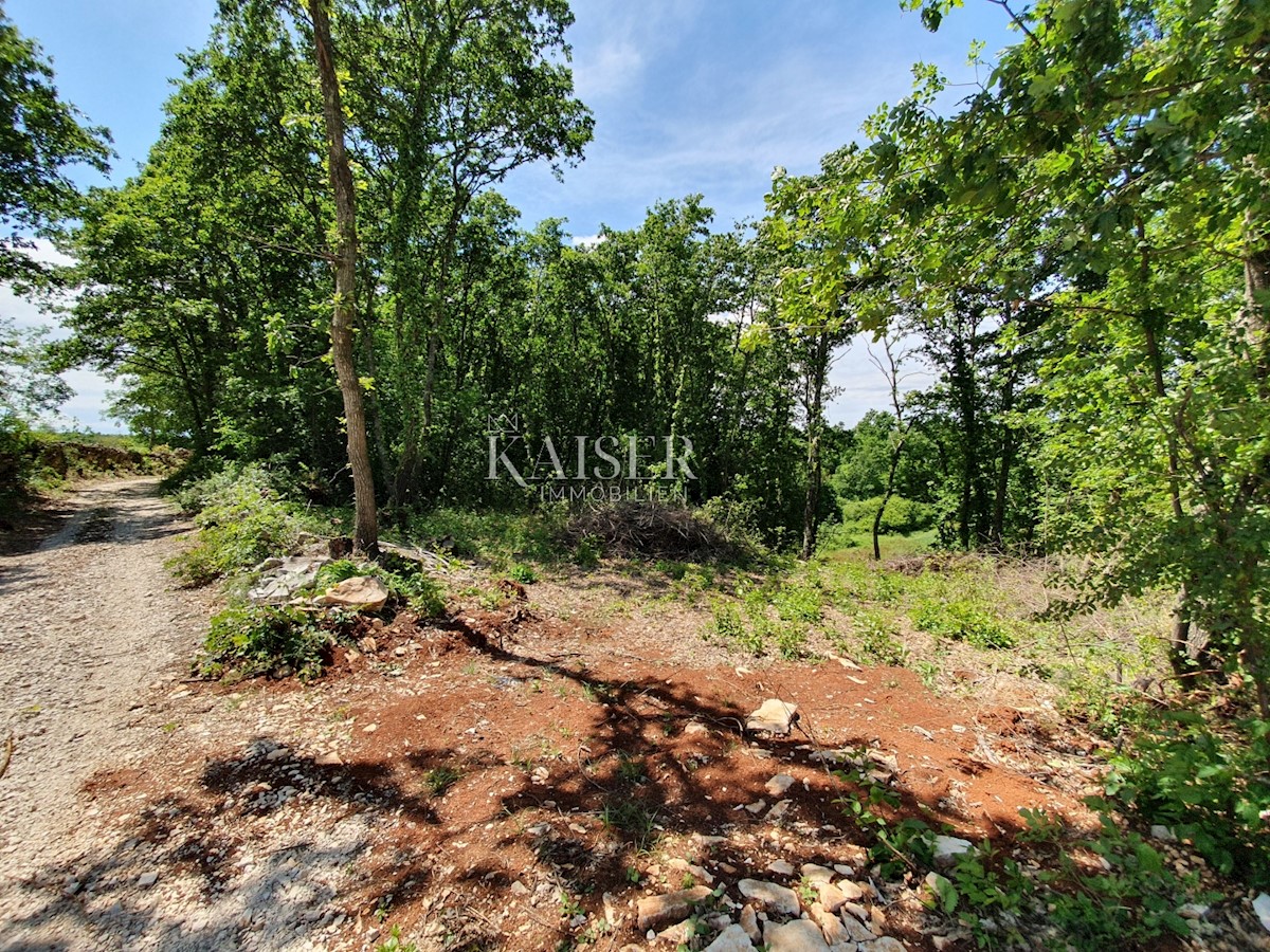 Land For sale - ISTARSKA SVETI LOVREČ