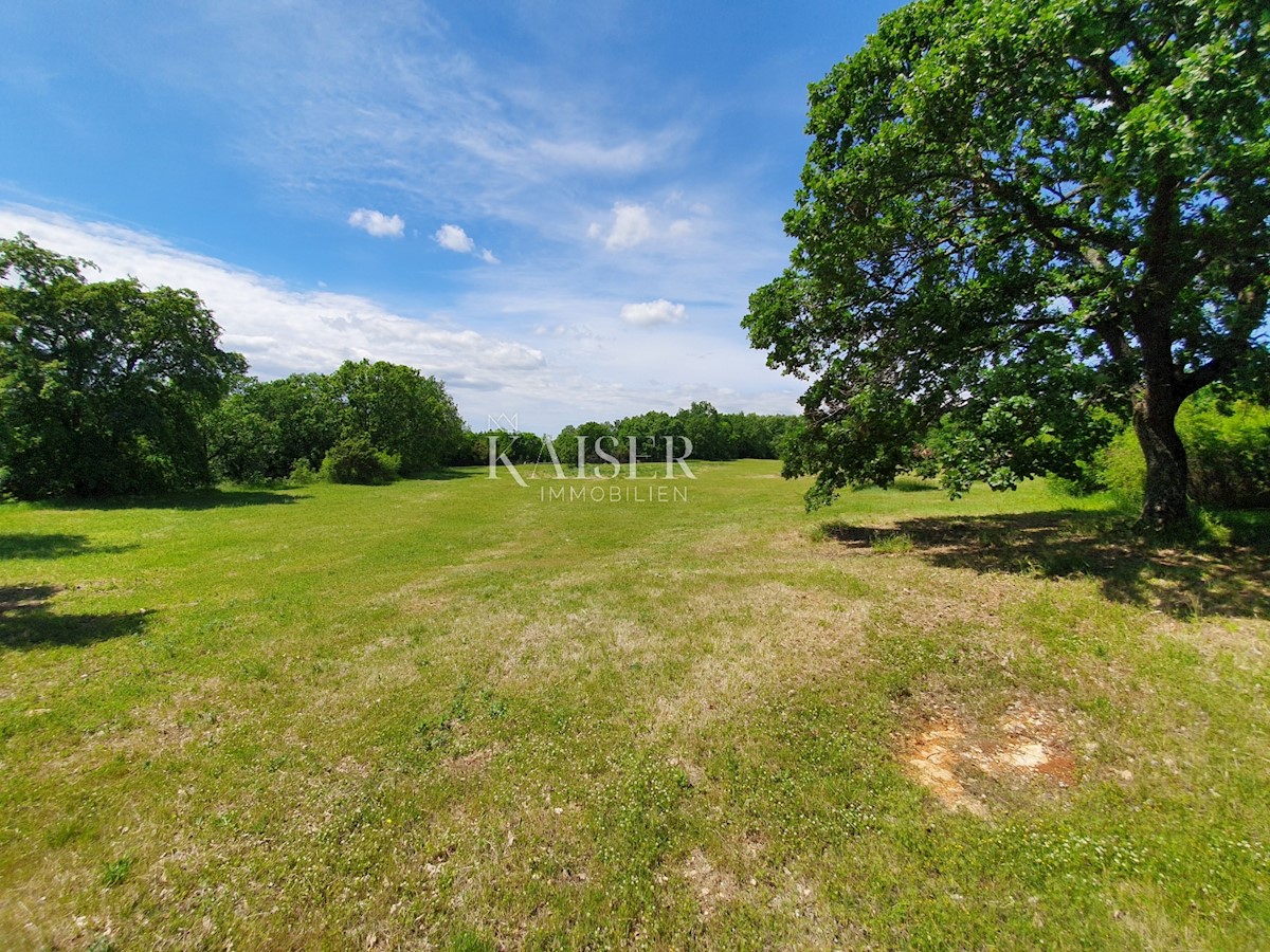 Land For sale - ISTARSKA SVETI LOVREČ