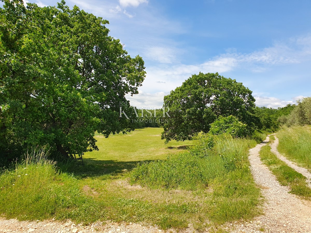 Land For sale - ISTARSKA SVETI LOVREČ