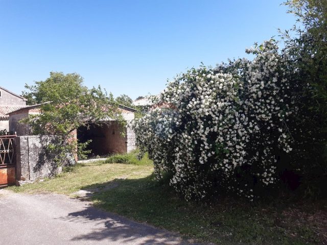 Casa In vendita - Istarska Sveti Petar U šumi - foto 4/12