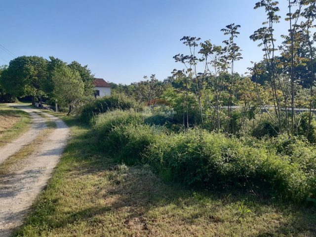 Land For sale - Istarska Sveti Petar U šumi - foto 2/9