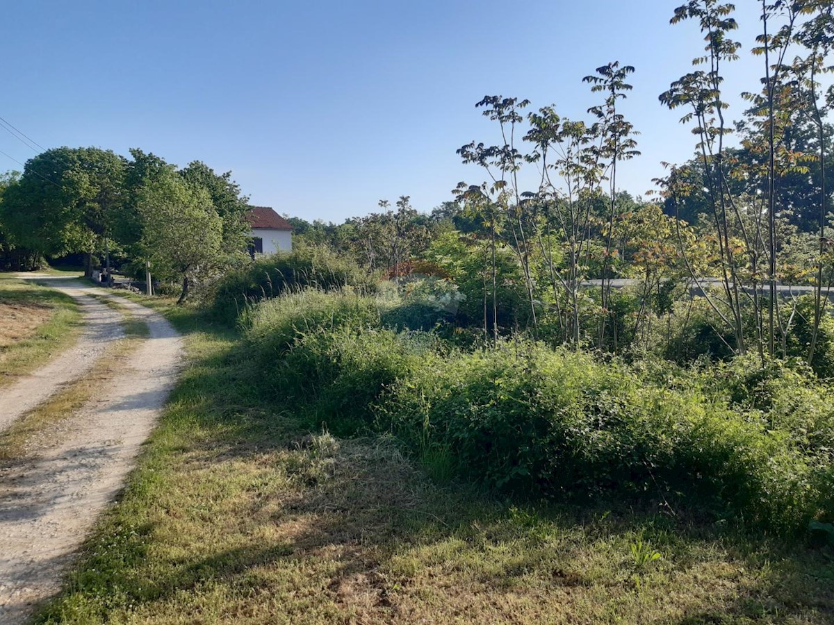 Terreno In vendita - ISTARSKA SVETI PETAR U ŠUMI