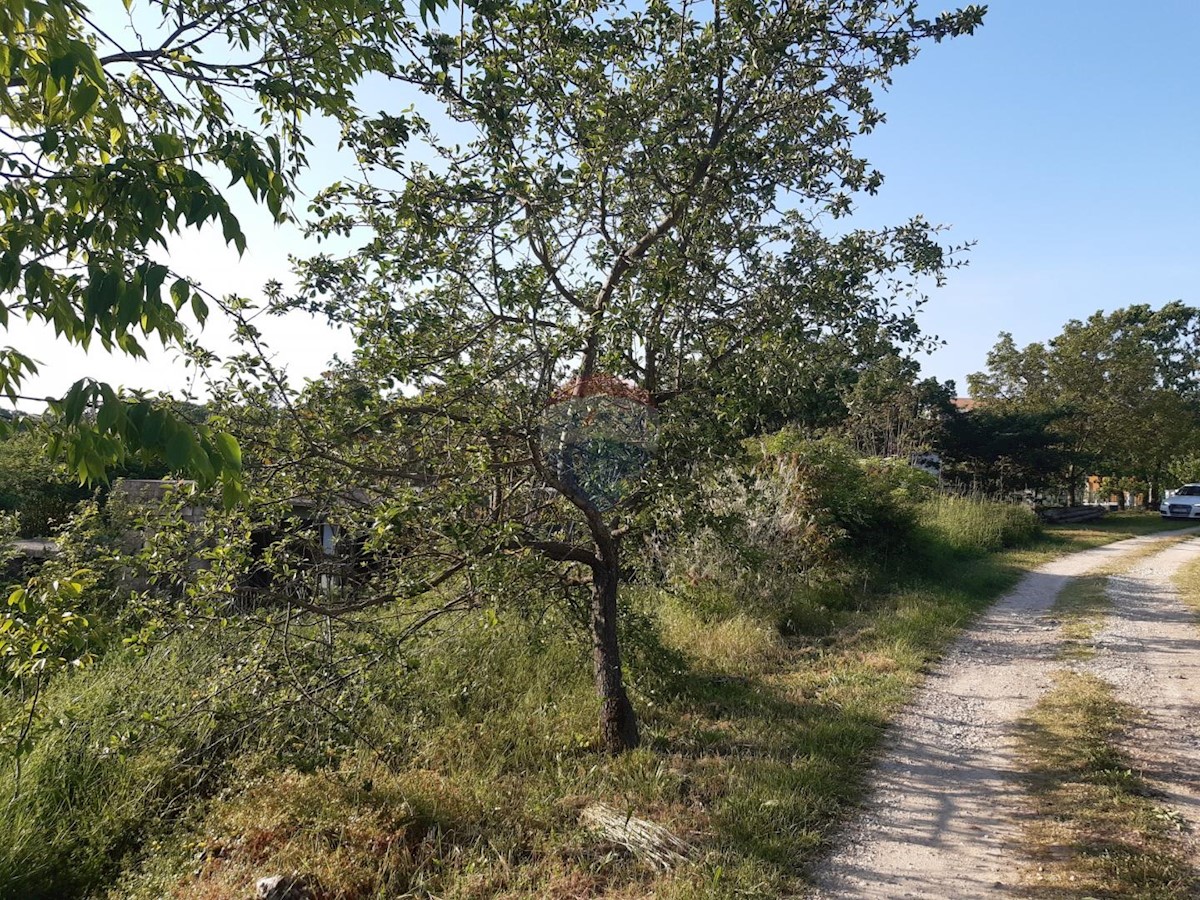 Zemljište Na prodaju - ISTARSKA SVETI PETAR U ŠUMI