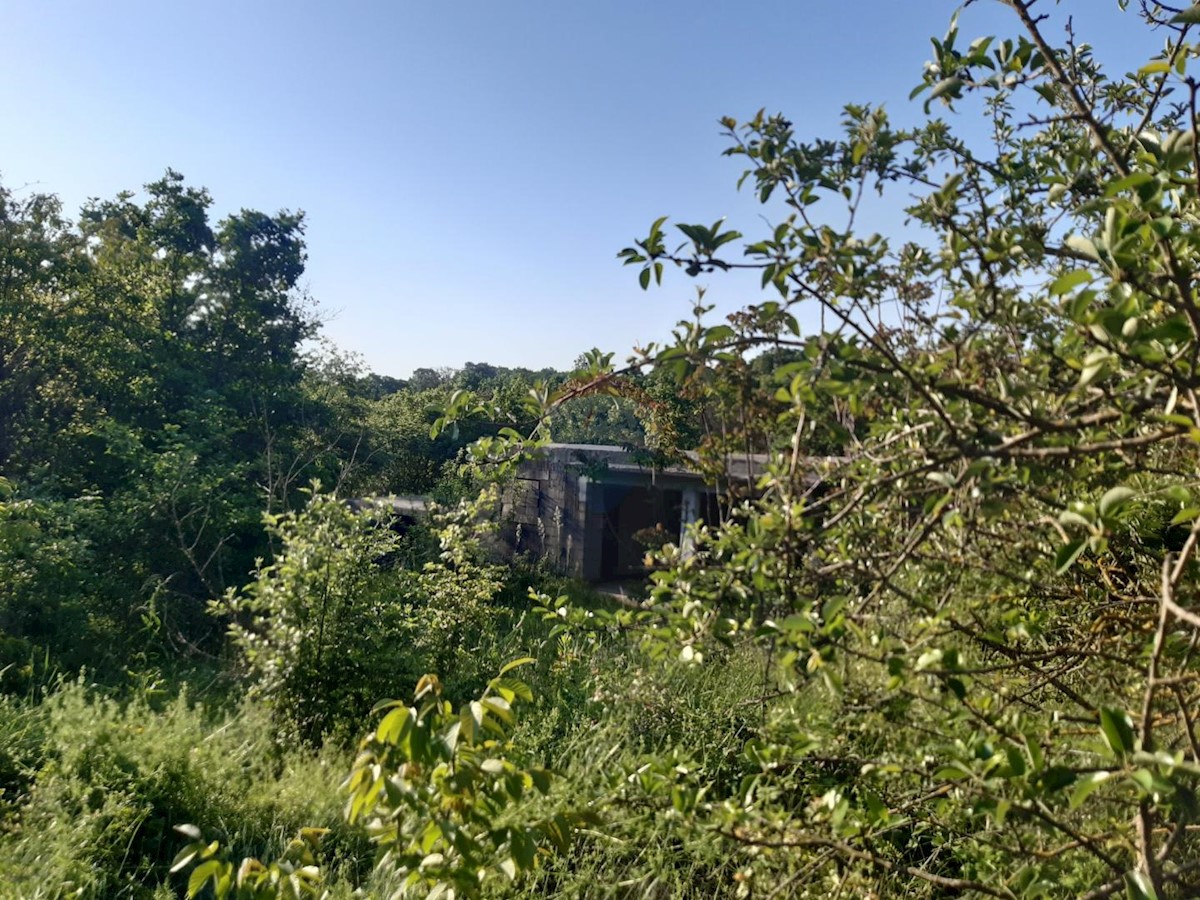 Terreno In vendita - ISTARSKA SVETI PETAR U ŠUMI