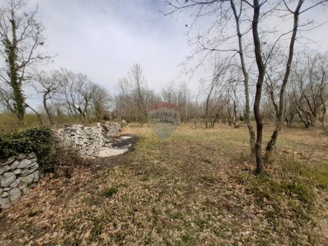 Zemljište Na prodaju - Istarska žminj - foto 3/3
