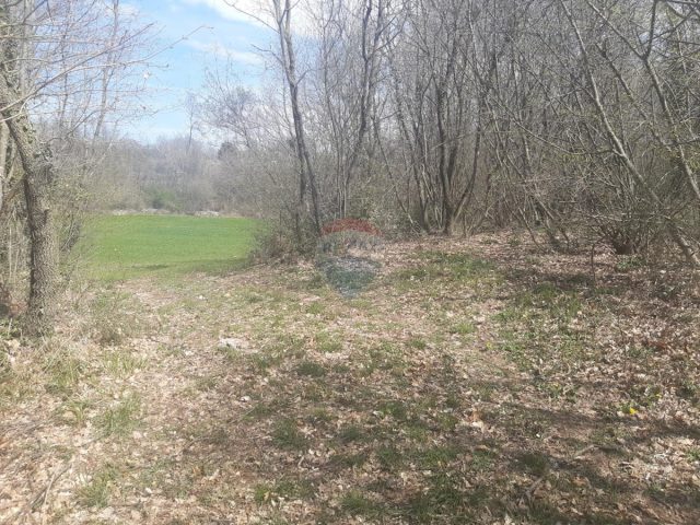 Parcela Na predaj - Istarska žminj - foto 2/2