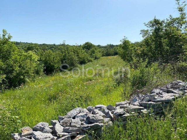 Parcela na predaj 6215 m² – Kanfanar