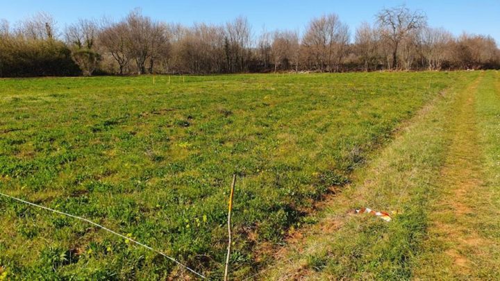 Pozemek na prodej 4478 m² – Pinezići