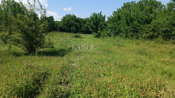 Parcela na predaj 1040 m² – Barban