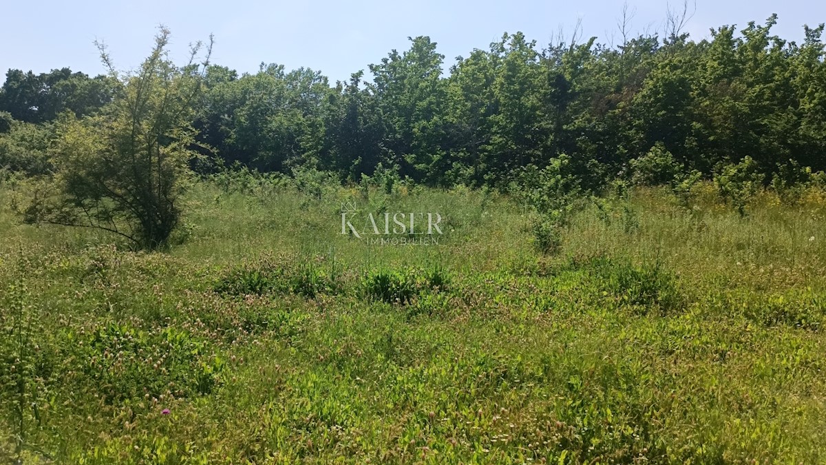 Parcela Na predaj - Istarska Barban - foto 3/8
