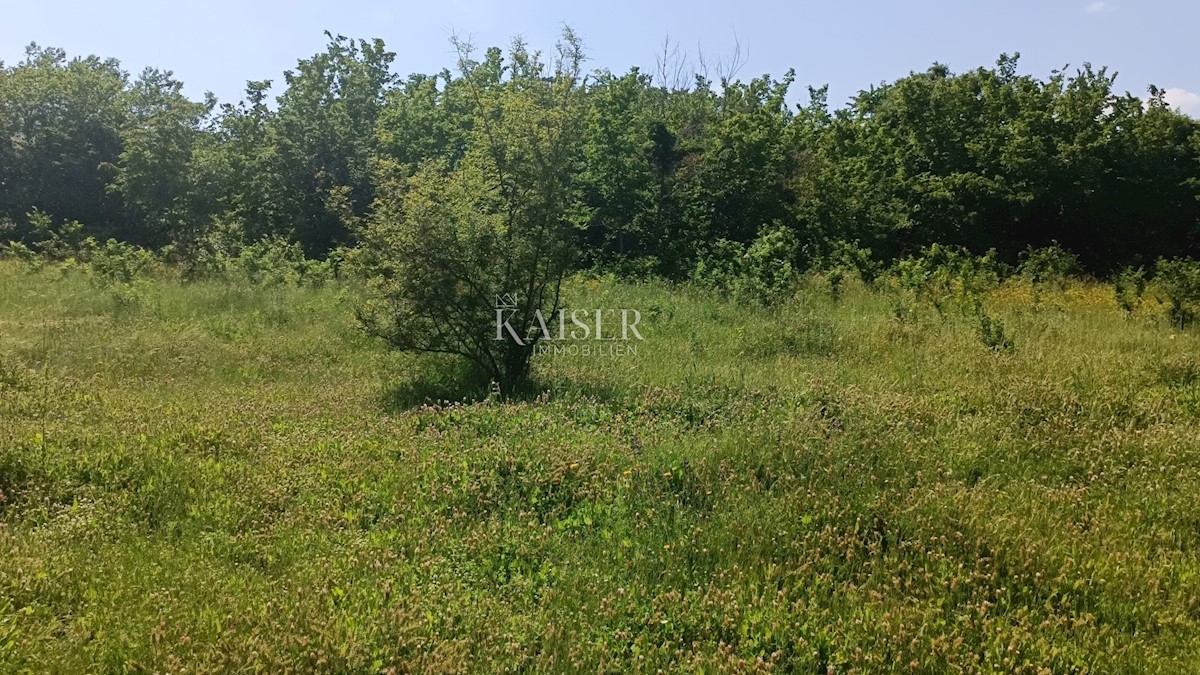 Parcela Na predaj - Istarska Barban - foto 4/8