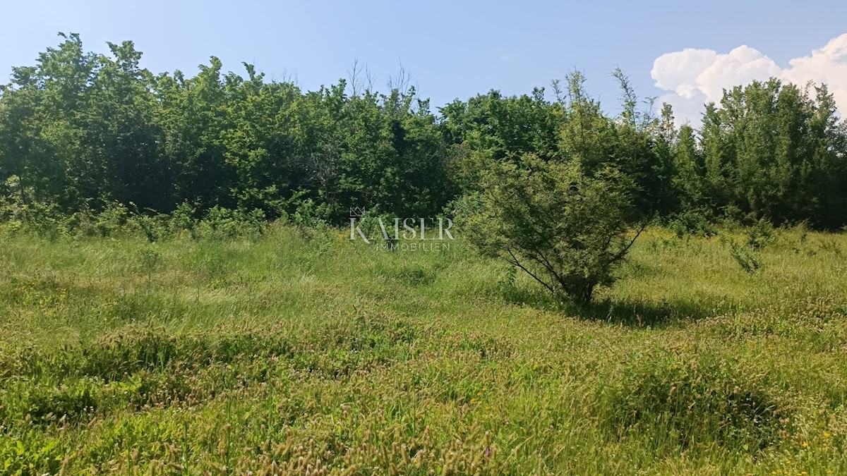 Parcela Na predaj - Istarska Barban - foto 5/8