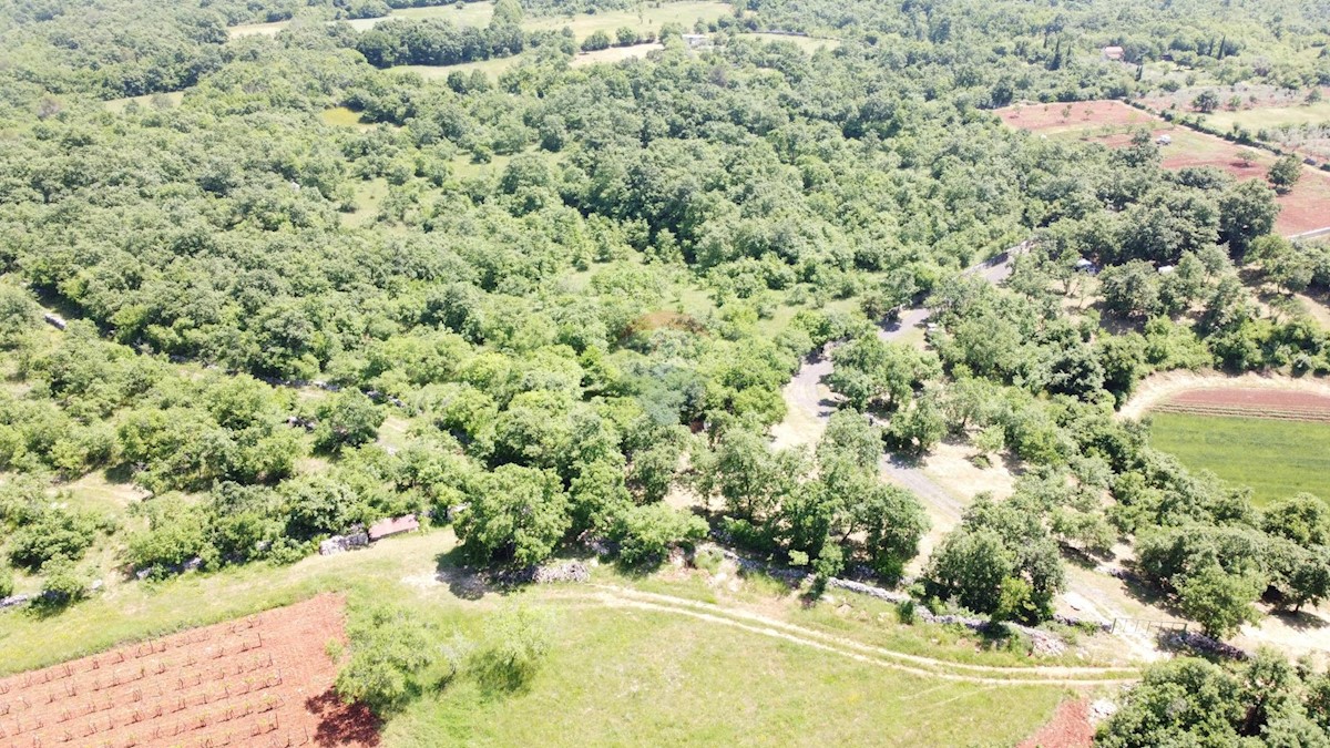 Terreno In vendita - ISTARSKA MARČANA