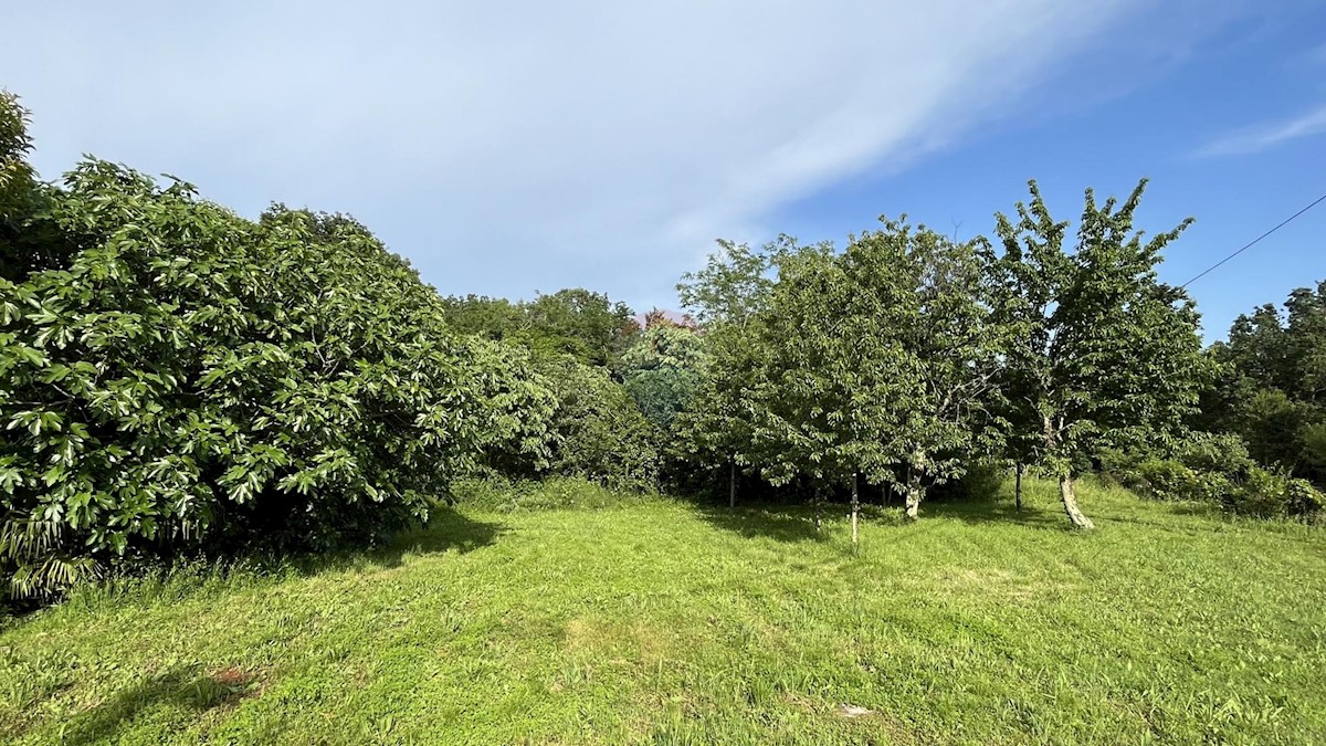 Terreno In vendita - ISTARSKA UMAG