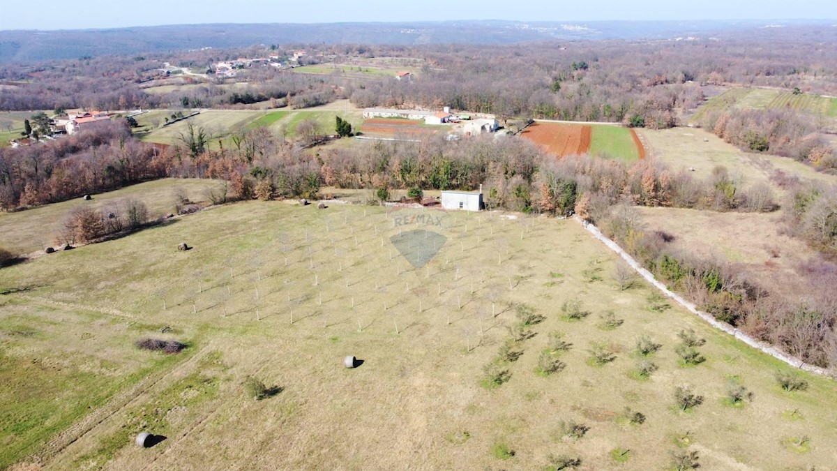 Land For sale - Istarska žminj - foto 1/3