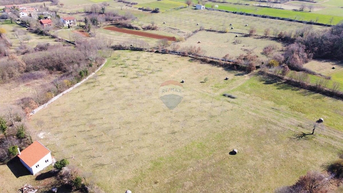 Land For sale - Istarska žminj - foto 3/3