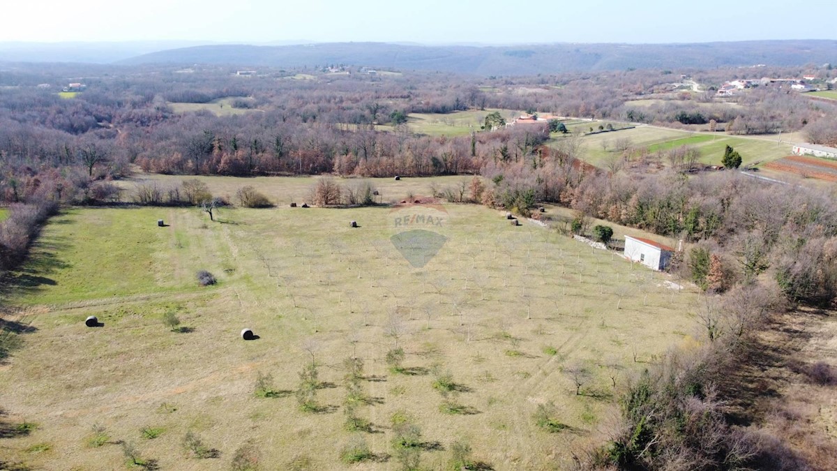 Parcela Naprodaj - ISTARSKA Žminj