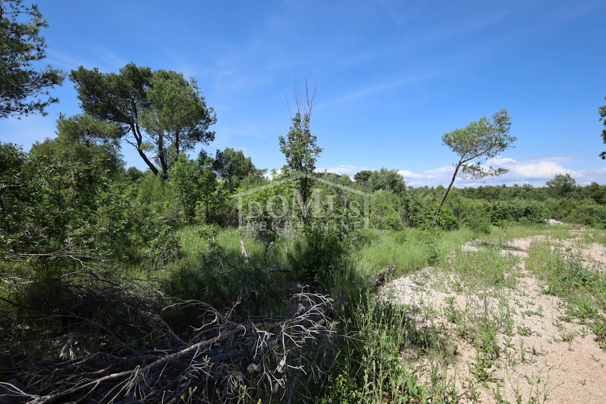 Terreno In vendita - ŠIBENSKO-KNINSKA VODICE