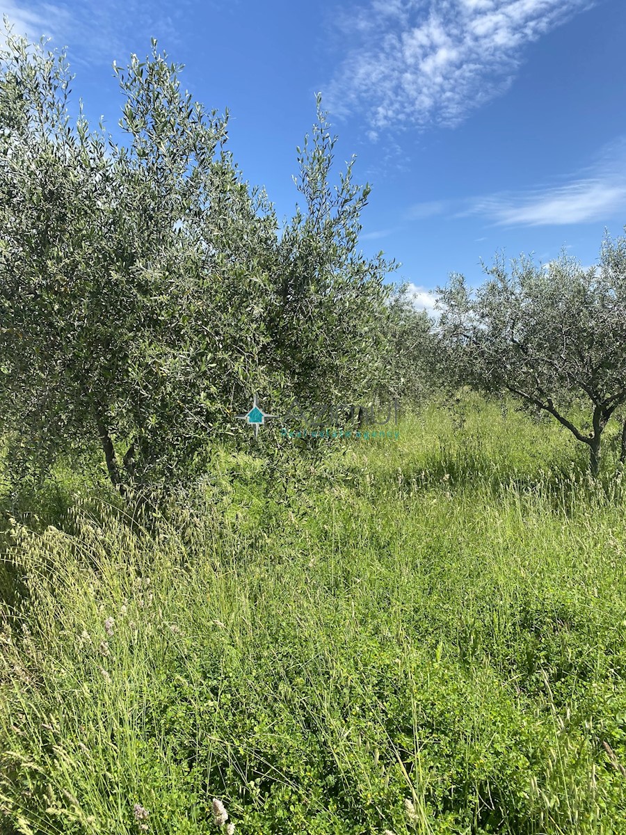 Terreno In vendita NOVA VAS