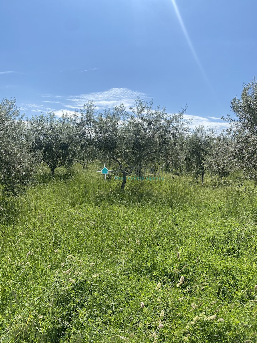 Land For sale - ISTARSKA POREČ