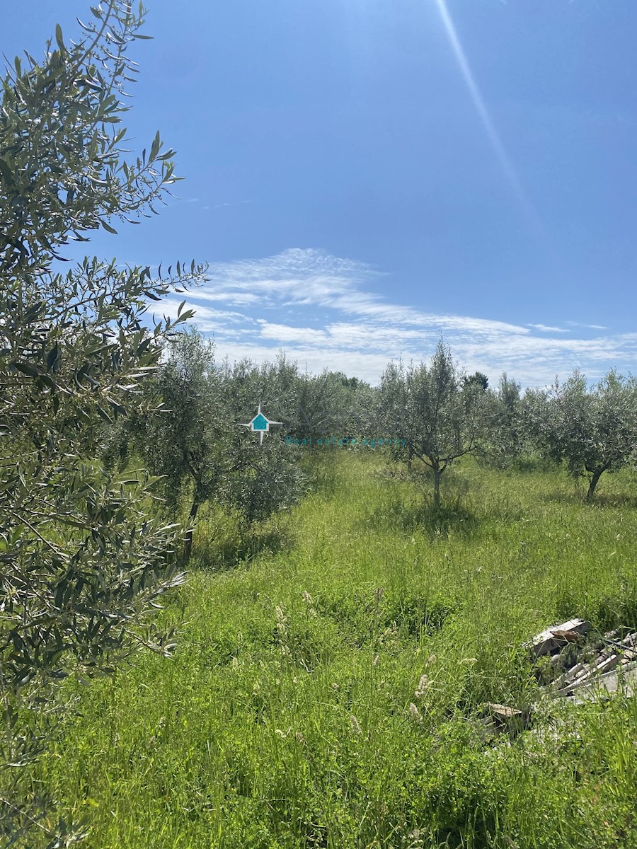 Land For sale - ISTARSKA POREČ