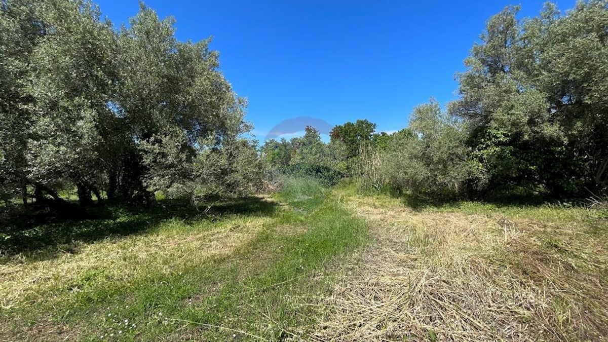 Kuća Na prodaju - ISTARSKA POREČ