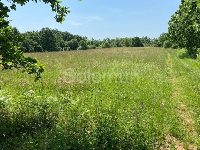 Parcela na predaj 5200 m² – Kanfanar