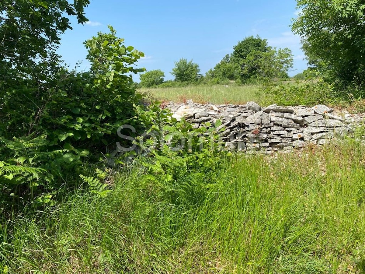 Parcela Naprodaj - ISTARSKA Kanfanar