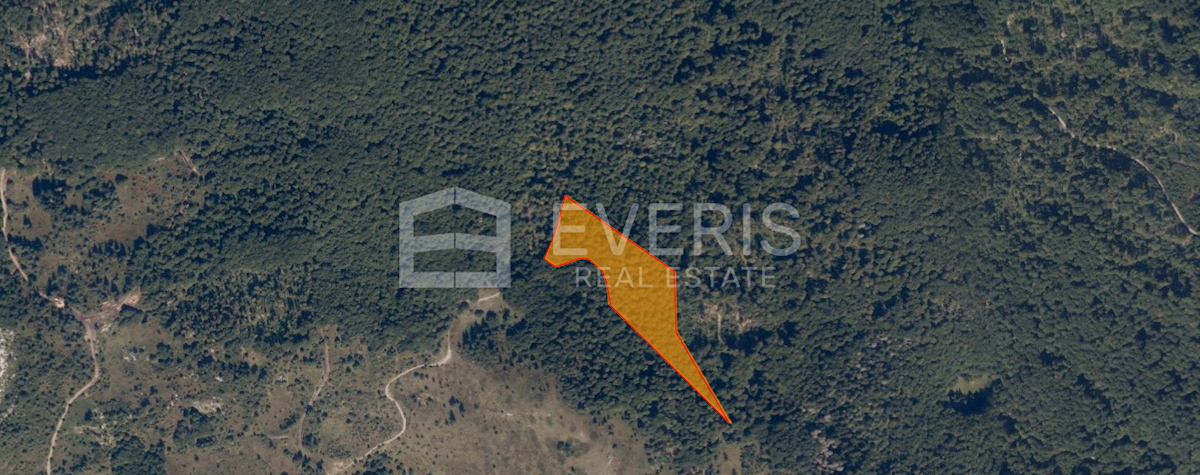 Land For sale - ISTARSKA LUPOGLAV