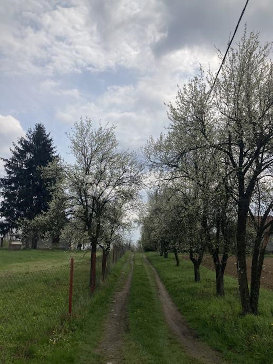 Hiša Na predaj - VUKOVARSKO-SRIJEMSKA VUKOVAR