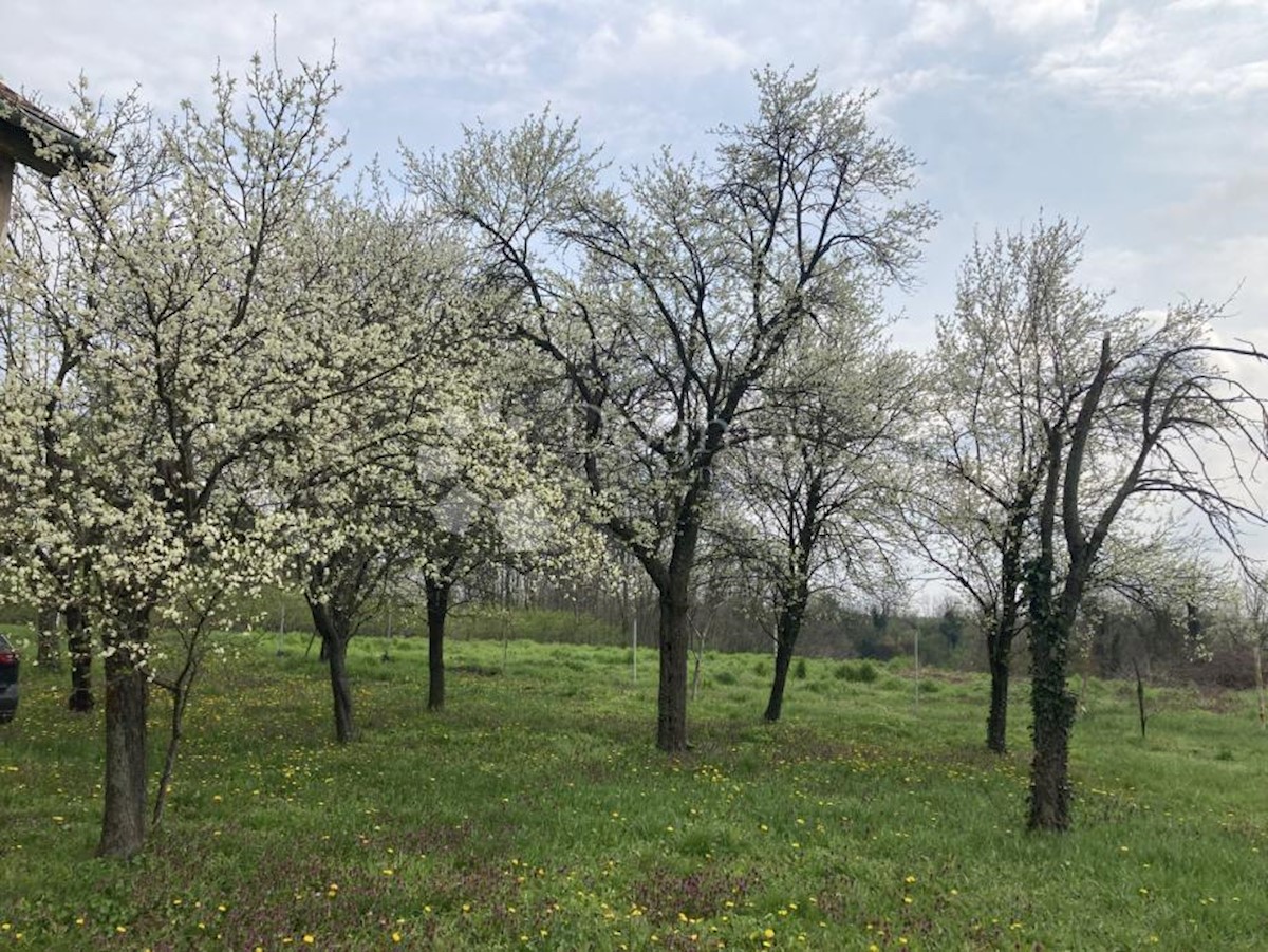 Kuća Na prodaju - VUKOVARSKO-SRIJEMSKA VUKOVAR