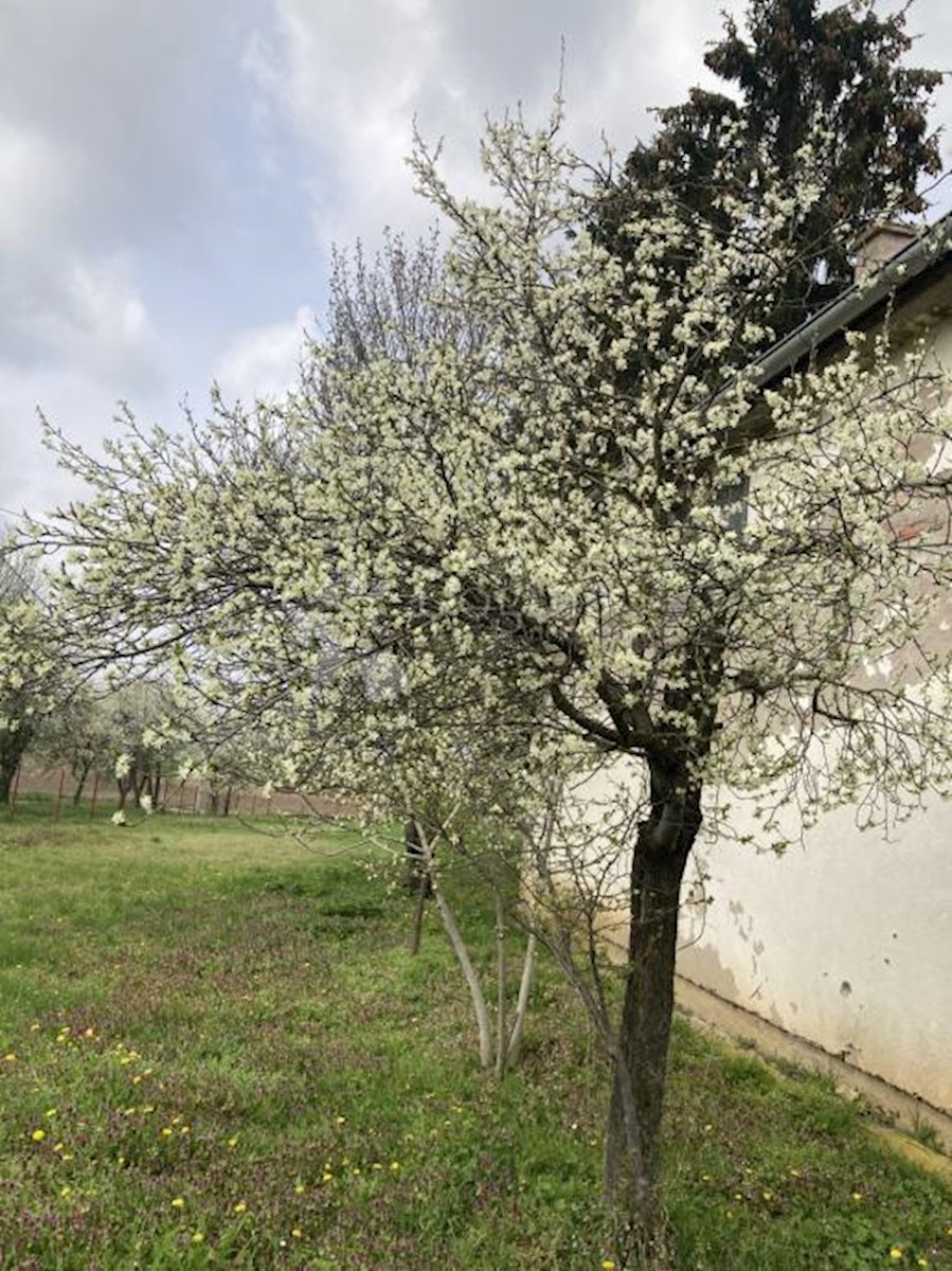 Maison À vendre - VUKOVARSKO-SRIJEMSKA VUKOVAR