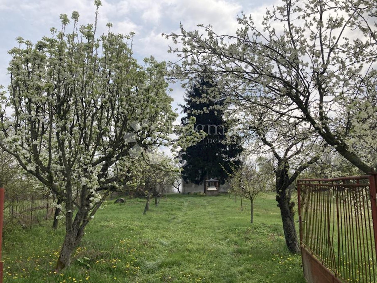 Hiša Na predaj - VUKOVARSKO-SRIJEMSKA VUKOVAR