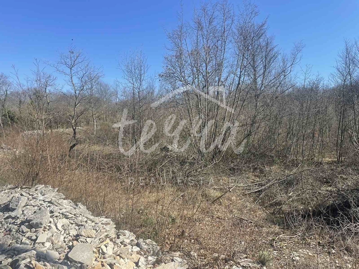 Land For sale - ISTARSKA RAŠA