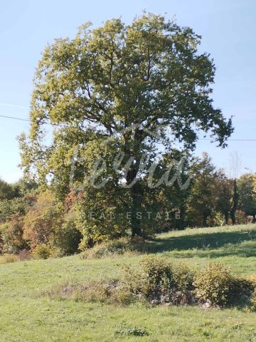 Zemljište na prodaju 5839 m² – Kršan