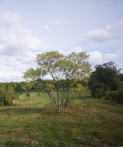 Land for sale 12800 m² – Cerovlje