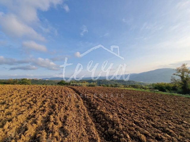 Terrain à vendre 3848 m² – Buzet
