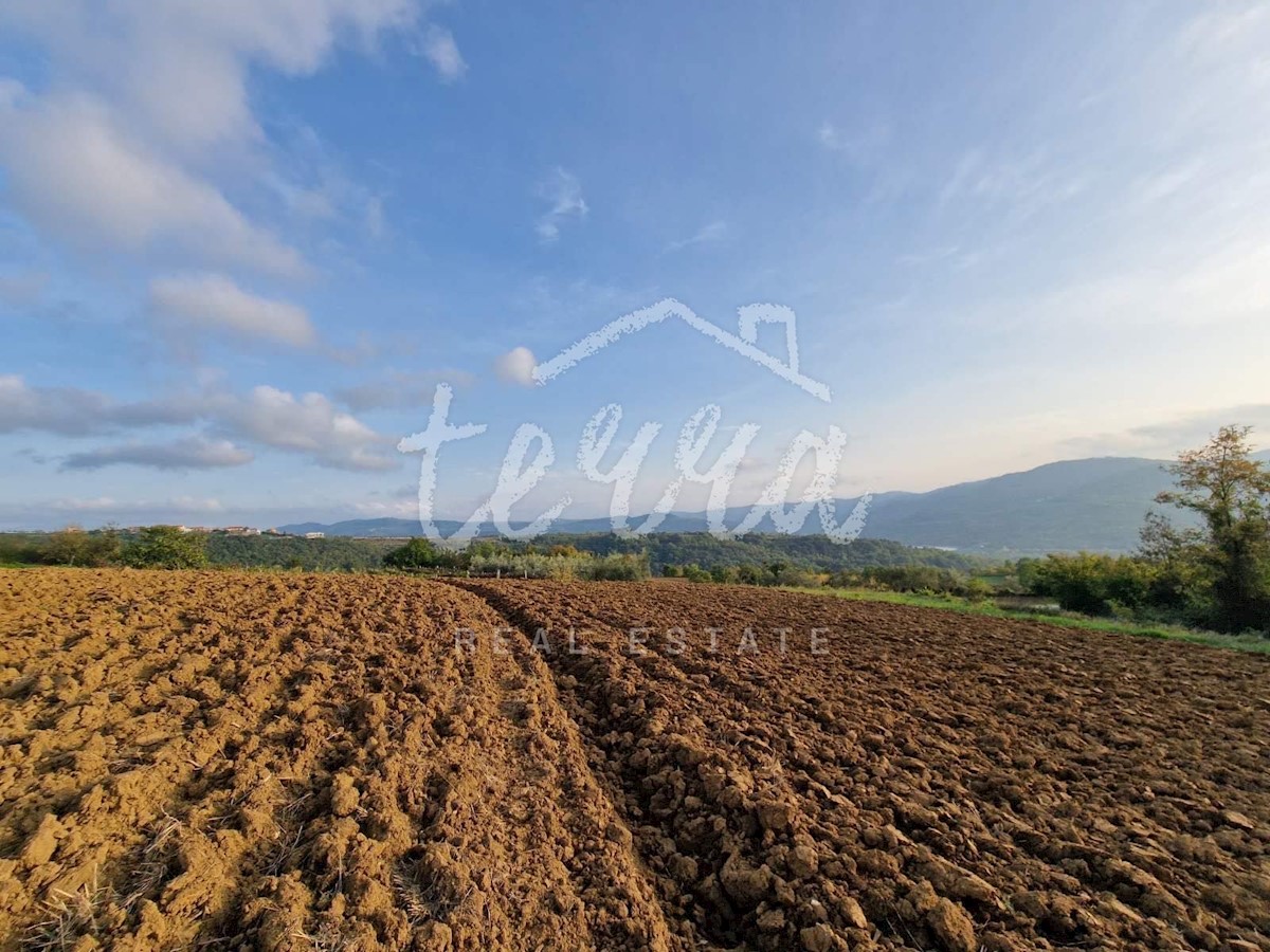 Land For sale - ISTARSKA BUZET