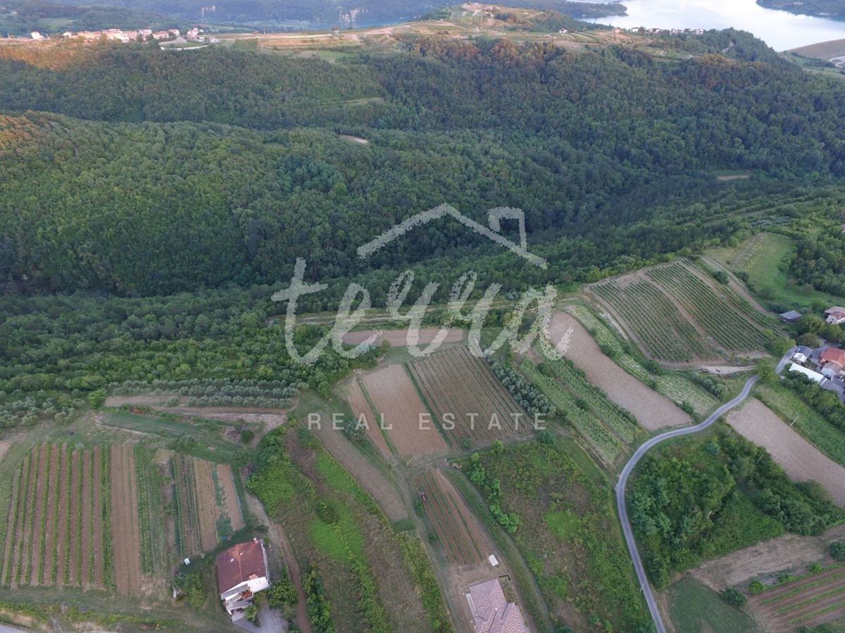 Land For sale - ISTARSKA BUZET