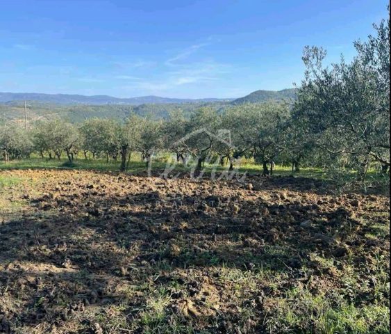Land For sale - Istarska Pazin - foto 2/2