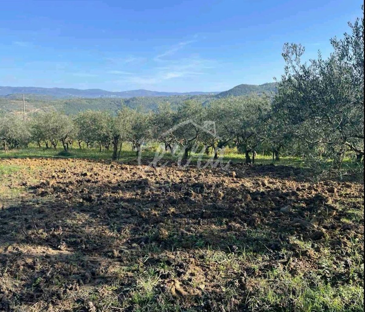 Terreno In vendita - ISTARSKA PAZIN