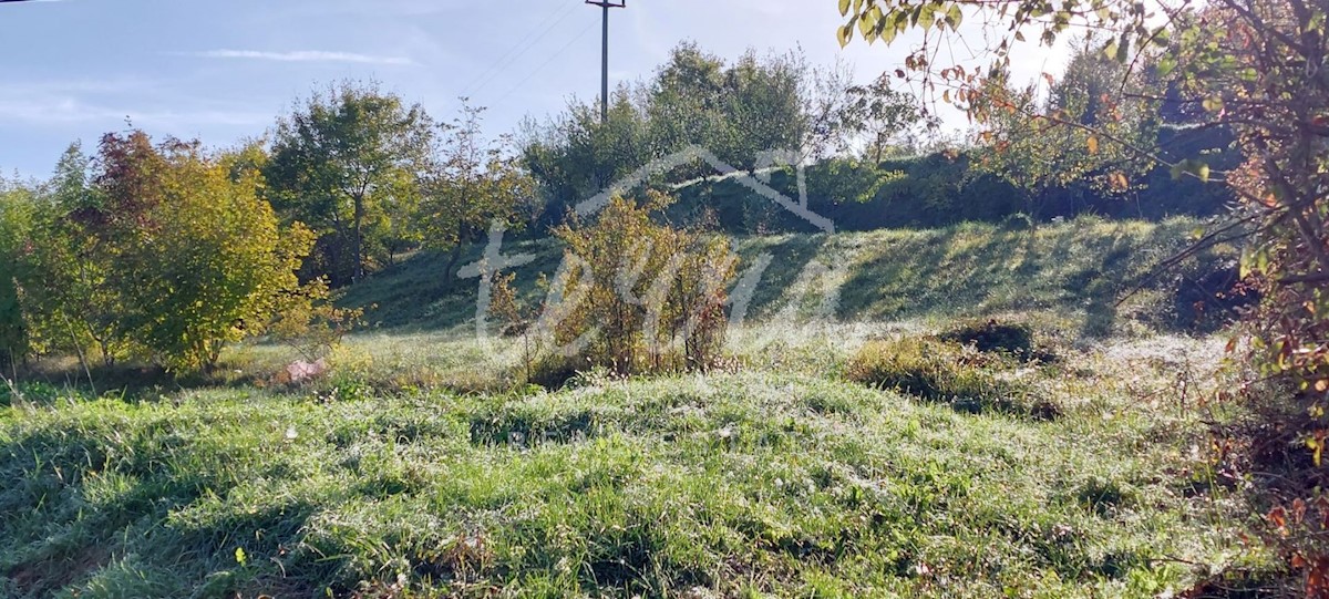 Pozemok Na predaj - ISTARSKA PAZIN