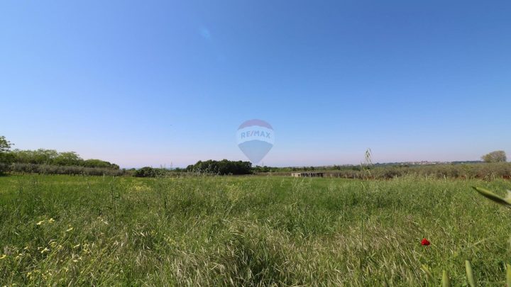 Zemljište na prodaju 5542 m² – Tar