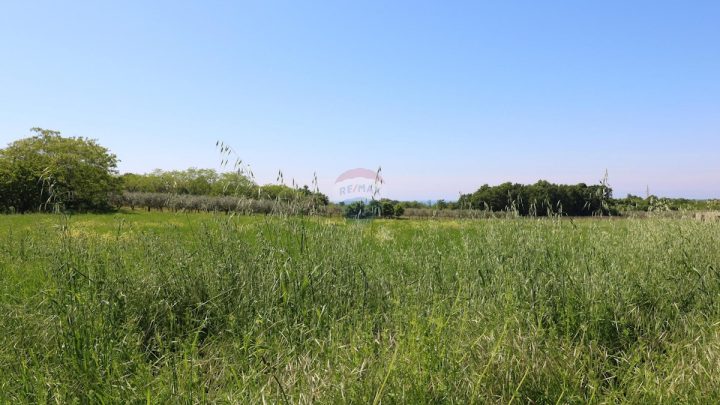 Grundstück Zu verkaufen - Istarska Tar-vabriga - foto 2/3